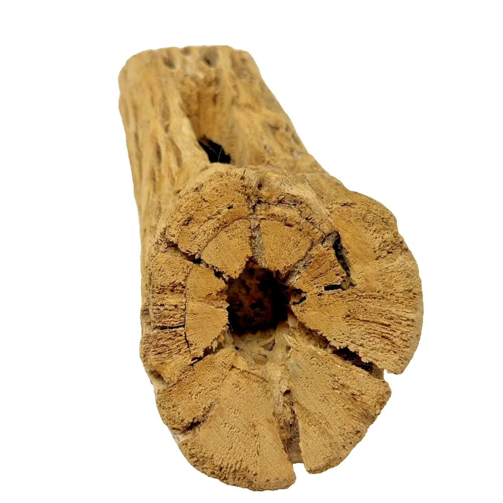 Natural Cholla Cactus Skeleton Wood Segment Reptile Aquarium Terrarium Decor